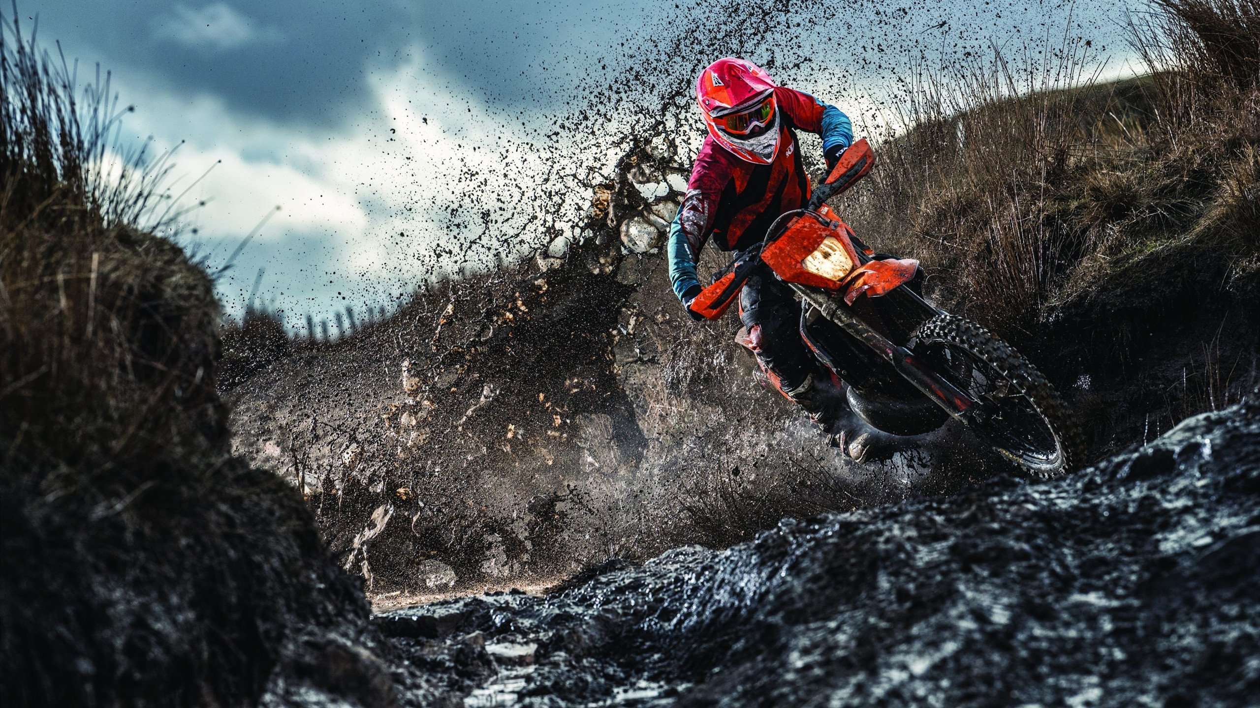 跳水与水球跨项目竞争力提升显著，跳水体育项目